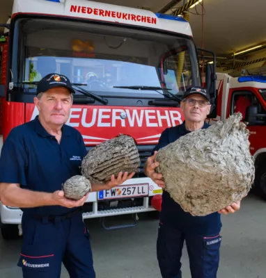 Rekordjahr für Wespen - Feuerwehren im Dauereinsatz FOKE-2024082910490109-022.jpg