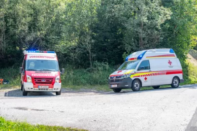 Gebäudebrand in Hinterstoder fordert Einsatz von vier Feuerwehren DSC-9664.jpg