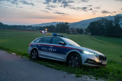 Feuerwehreinsatz bei Brand eines überdachten Misthaufens im Kremstal DSC-9886.jpg