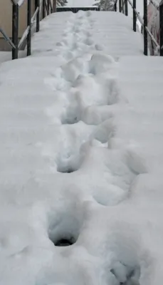 Hochwasseralarm in Oberösterreich fordert Einsatzkräfte DSC-0948.jpg