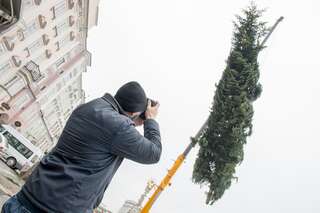 Linzer Christbaum wurde am Hauptplatz aufgestellt 20141110-1078.jpg