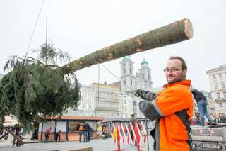 Linzer Christbaum wurde am Hauptplatz aufgestellt 20141110-1081.jpg