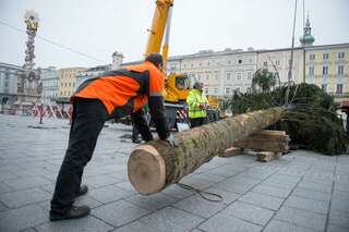 Linzer Christbaum wurde am Hauptplatz aufgestellt 20141110-1093.jpg