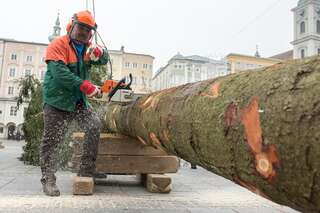 Linzer Christbaum wurde am Hauptplatz aufgestellt 20141110-1104.jpg