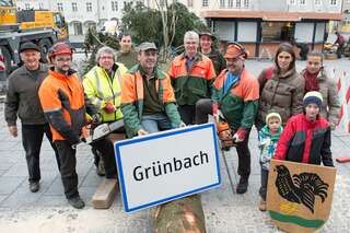 Linzer Christbaum wurde am Hauptplatz aufgestellt 20141110-1111.jpg