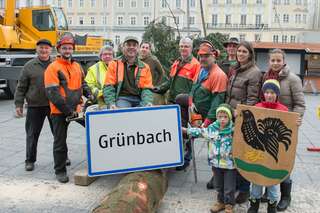 Linzer Christbaum wurde am Hauptplatz aufgestellt 20141110-1123.jpg