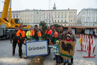 Linzer Christbaum wurde am Hauptplatz aufgestellt 20141110-1126.jpg