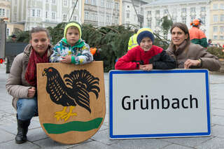 Linzer Christbaum wurde am Hauptplatz aufgestellt 20141110-1129.jpg