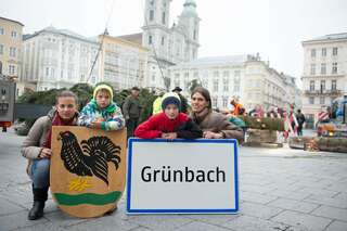 Linzer Christbaum wurde am Hauptplatz aufgestellt 20141110-1133.jpg