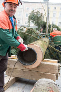 Linzer Christbaum wurde am Hauptplatz aufgestellt 20141110-1136.jpg