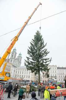 Linzer Christbaum wurde am Hauptplatz aufgestellt 20141110-1144.jpg