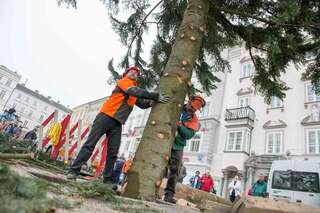 Linzer Christbaum wurde am Hauptplatz aufgestellt 20141110-1145.jpg