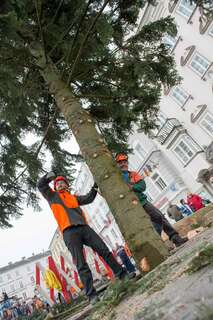 Linzer Christbaum wurde am Hauptplatz aufgestellt 20141110-1147.jpg