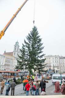 Linzer Christbaum wurde am Hauptplatz aufgestellt 20141110-1149.jpg