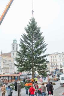 Linzer Christbaum wurde am Hauptplatz aufgestellt 20141110-1151.jpg