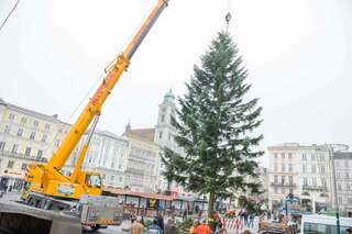 Linzer Christbaum wurde am Hauptplatz aufgestellt 20141110-1152.jpg