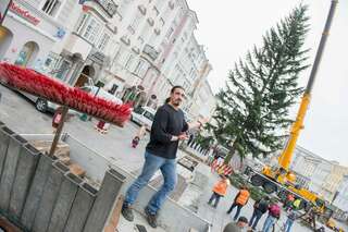 Linzer Christbaum wurde am Hauptplatz aufgestellt 20141110-1156.jpg