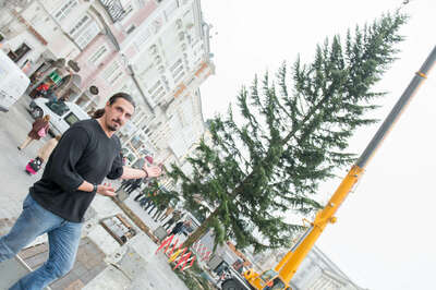 Linzer Christbaum wurde am Hauptplatz aufgestellt 20141110-1157.jpg