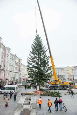 Linzer Christbaum wurde am Hauptplatz aufgestellt 20141110-1159.jpg