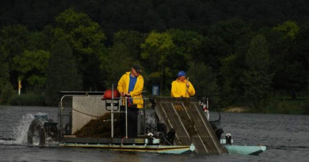 Titelbild: Pichlingersee - Mähboot im Einsatz