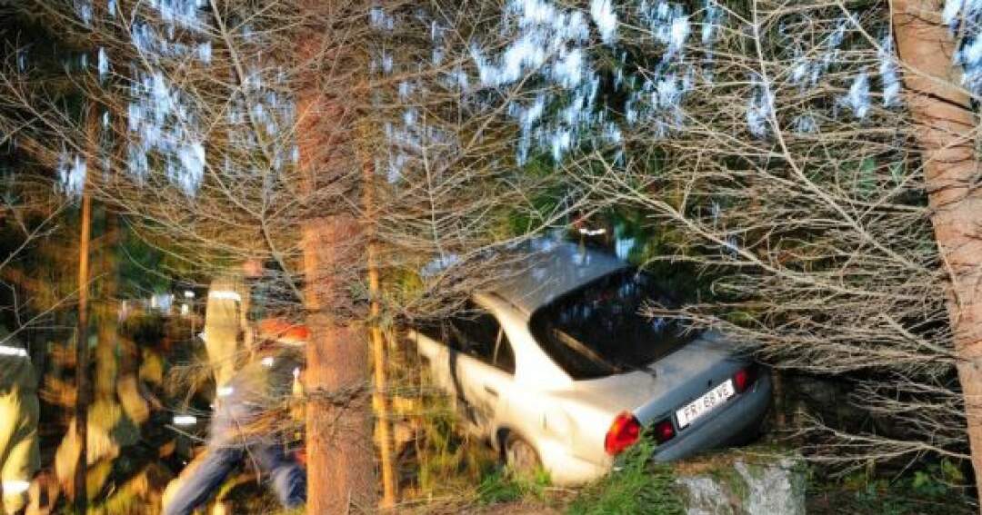 Titelbild: Bremsdefekt: Auto rollte in Wald