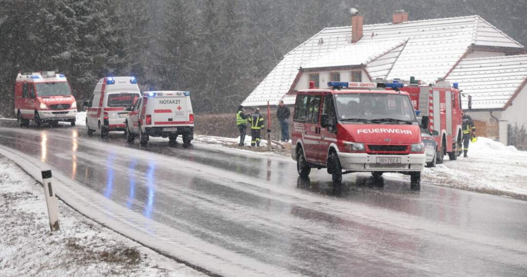 Titelbild: Fahrzeuglenker gegen Holzstoß geprallt