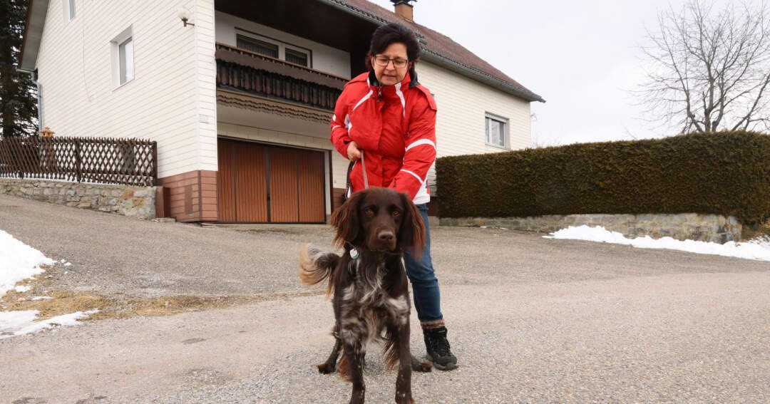 Titelbild: Hund einer Spaziergängerin fand Schwerverletzten