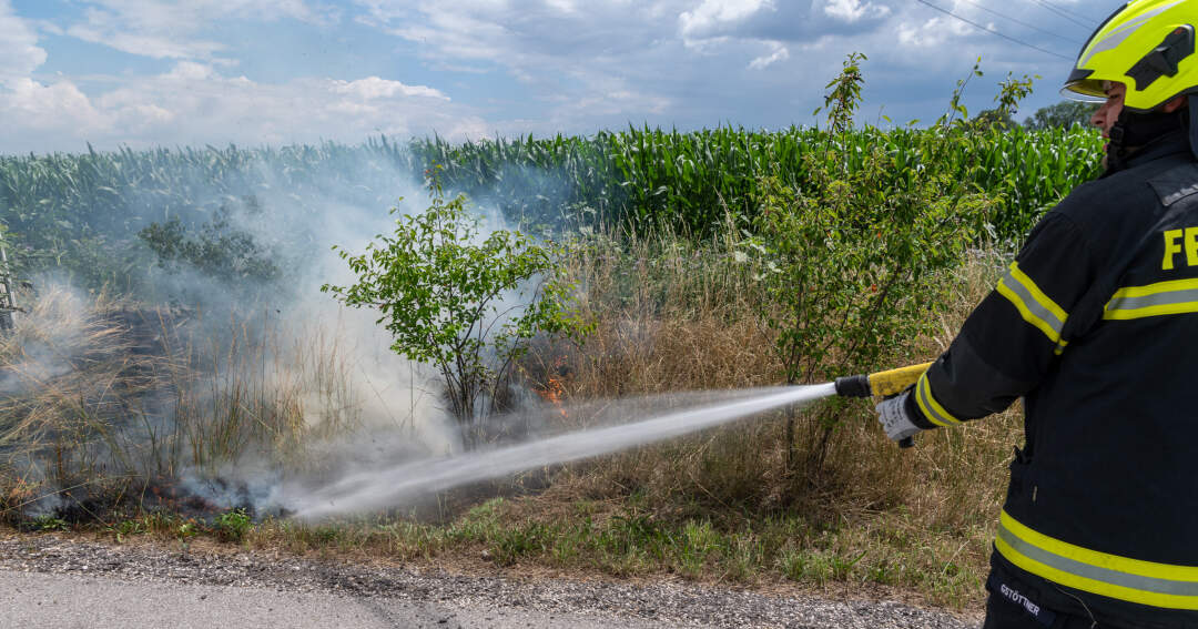 Titelbild: Wiesenbrand neben Hochspannungs-Schaltstation