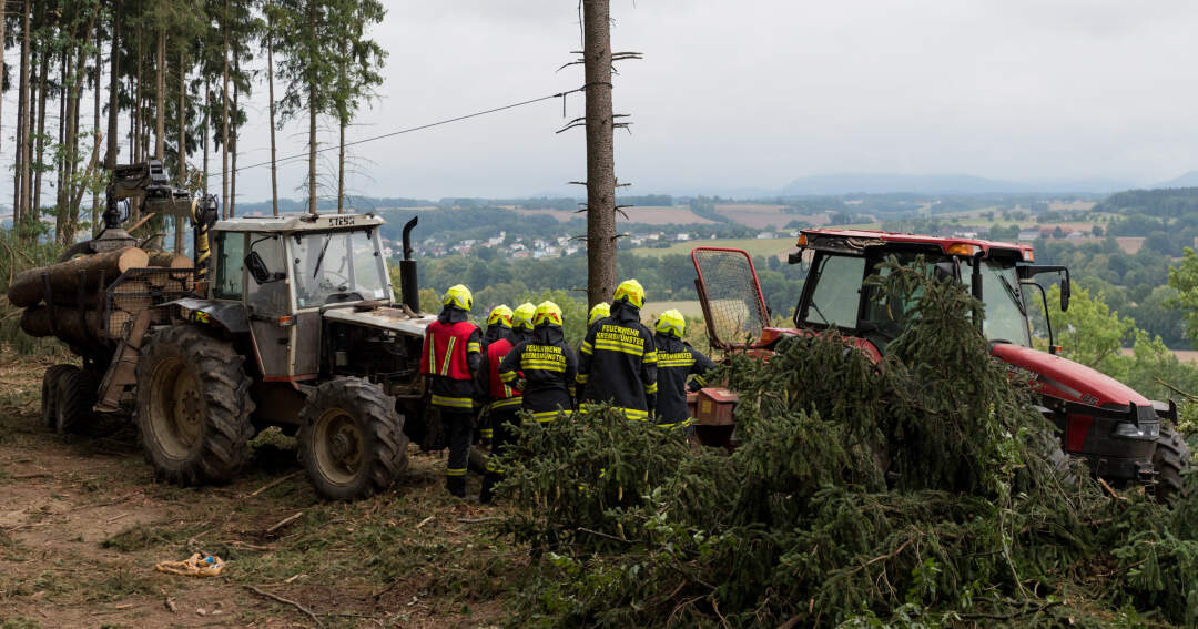 Titelbild: Forstarbeiter in Kremsmünster von Baum getroffen