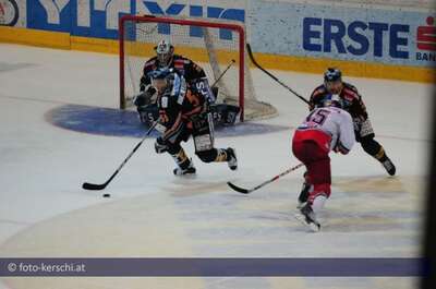 Ausgleich im vierten Spiel: Rückspiel am Ostersonntag in Salzburg foto-kerschi_01-04-2010_eishockeyliga__39.jpg