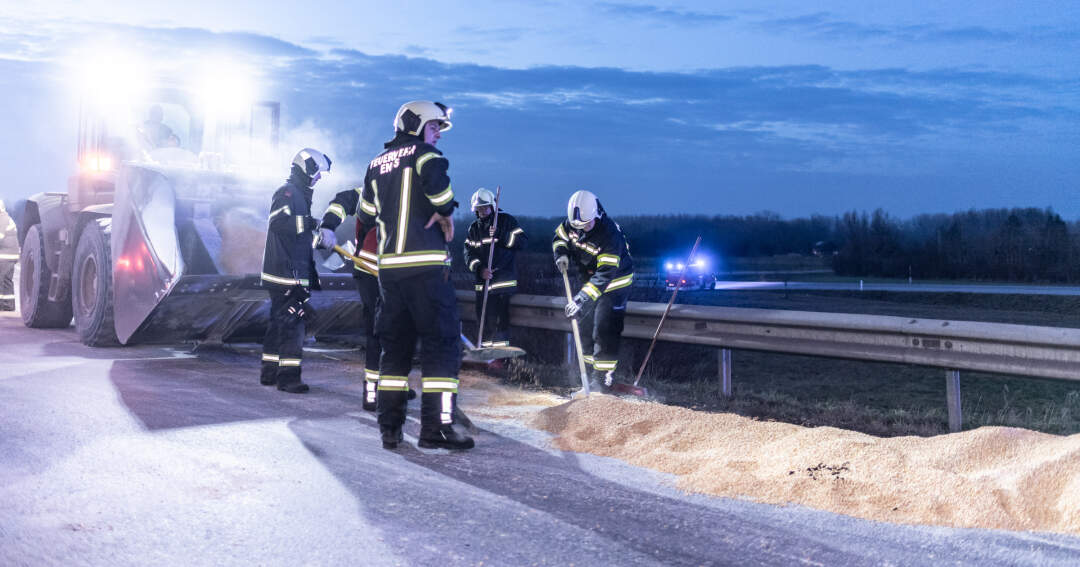 Titelbild: Mais behindert Abendverkehr