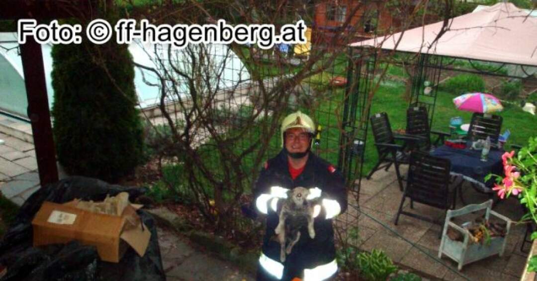 Titelbild: Hund bei Wohnungsbrand gerettet