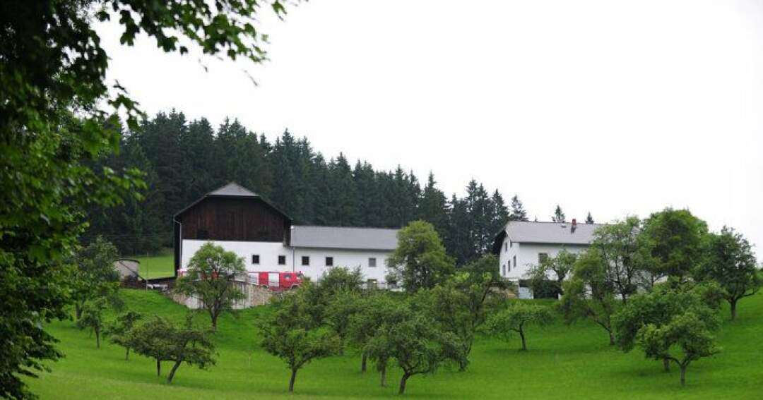 Titelbild: Notschlachtung bei Tierrettung im Mühlviertel