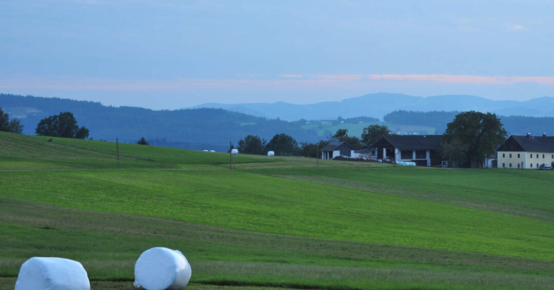 Titelbild: Tödlicher Arbeitsunfall: Rundballen überrollt Landwirt