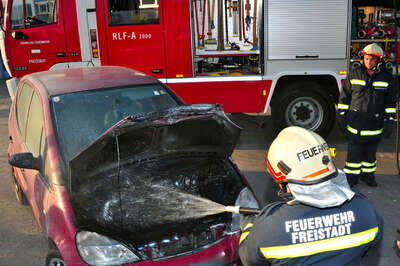 Berufsschüler löschte Fahrzeugbrand fahrzeugbrand-006.jpg