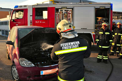 Berufsschüler löschte Fahrzeugbrand fahrzeugbrand-007.jpg