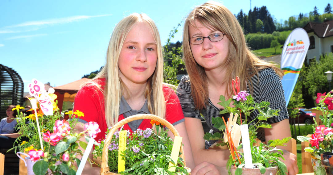 Titelbild: Kräuterpyramide am Kräuterpflanzenmarkt