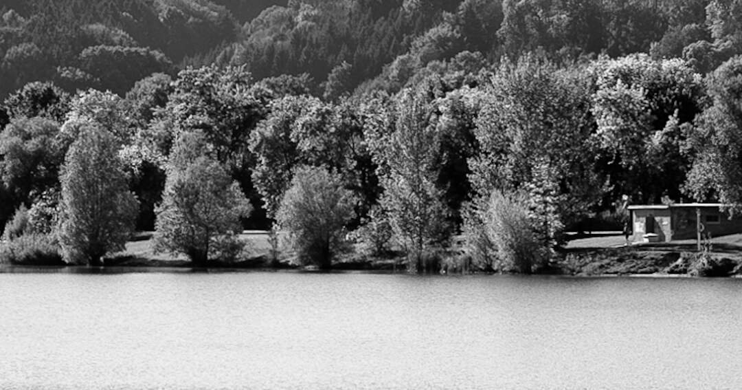 Titelbild: Pichlingersee: Spaziergänger findet Leiche im Wasser