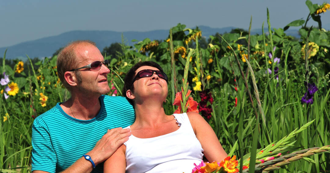 Titelbild: Harte Arbeit auf dem Feld & Blumenpflücken in der Sommersonne