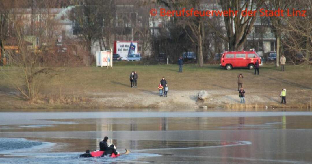 Titelbild: Tierrettung am Pleschinger See