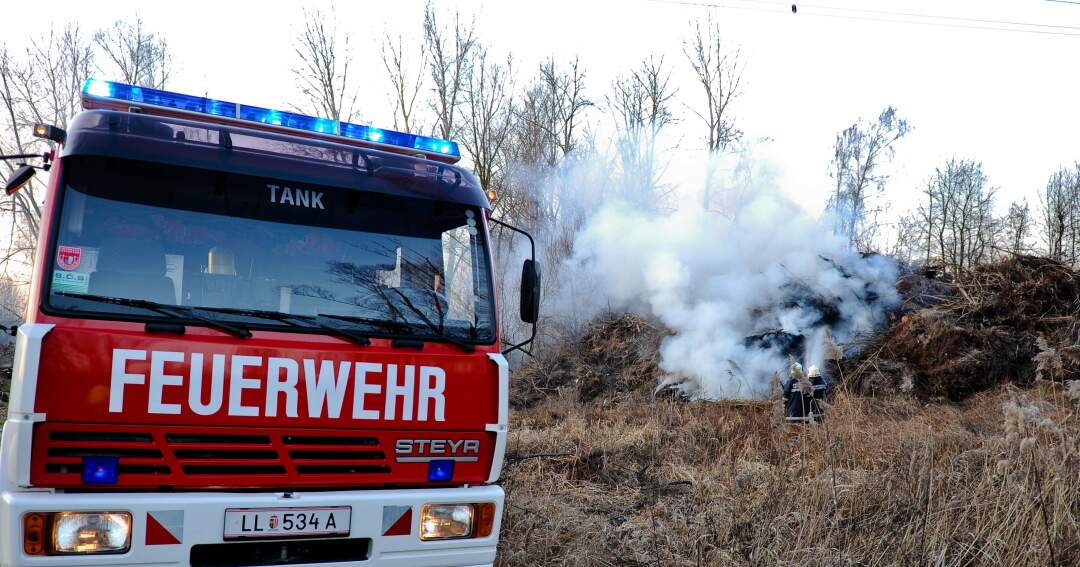 Titelbild: Spaziergänger entdeckt Brand rechtzeitig