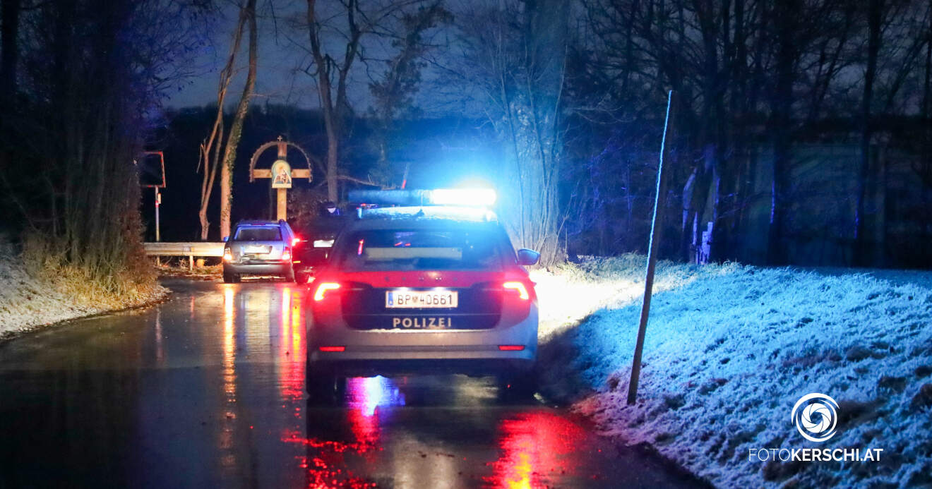 Wildunfall führte zu Folgeunfällen