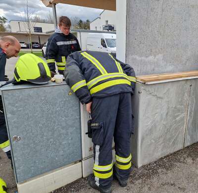 Spektakuläre Rettung einer Katze 20230401-123113.jpg