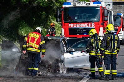 Fahrzeugbrand auf der A1 in Enns FOKE-2023051316232797-019.jpg