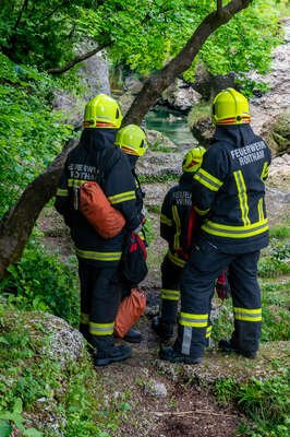 Personenrettung durch die Feuerwehr am Traunfall DSC-7276.jpg