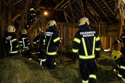 Feuerwehr Haibach und Reichenau im Einsatz: Heu im Heuboden sorgt für Brandverdacht Brandverdacht-Haibach-7394.jpg